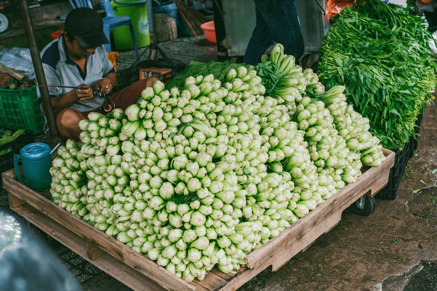 Manger de saison et local : le comparatif pour bien choisir