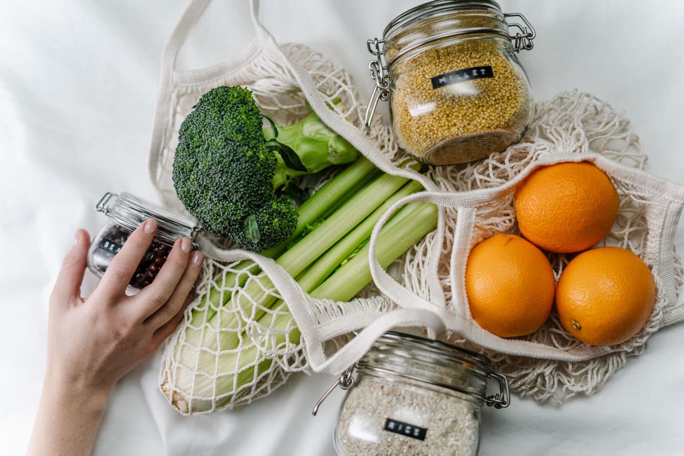 Repas végétarien économique : nourrir sa famille sans se ruiner